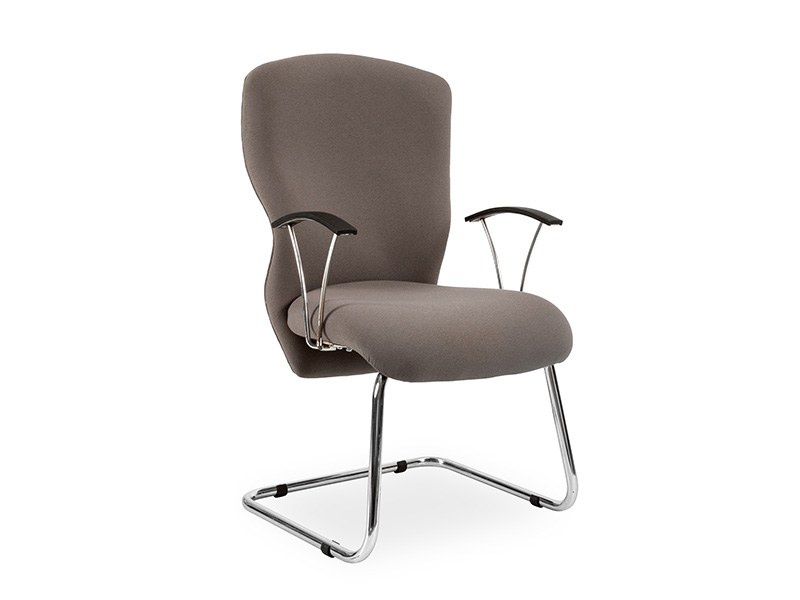 Aruba Visitors Sleigh