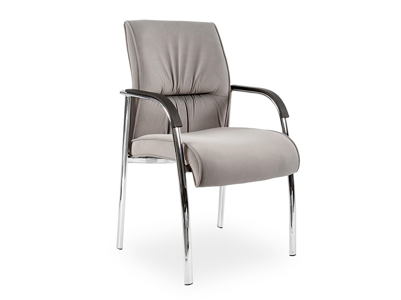 Salvador Chrome - Visitors 4 Legged